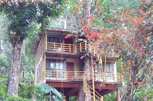 Jungle Jive Tree House Munnar At 4975 Reviews Photos Offer