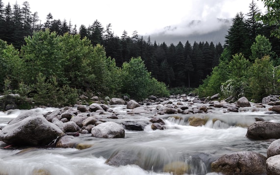 Manali
