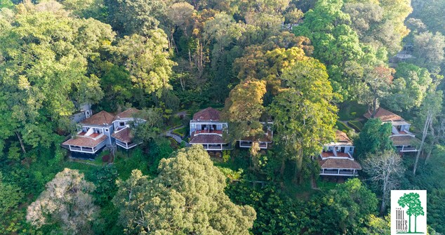 Tall Trees Resort Munnar At 14467 Reviews Photos Offer